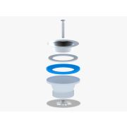 Выпуск Ани 1